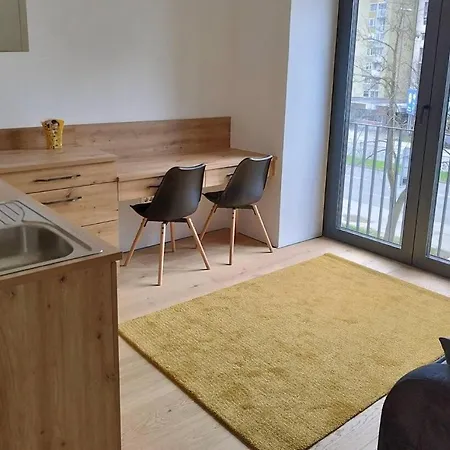 Modern Studio Apartament Lublana